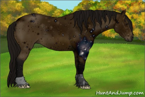 Horse Color: ERROR: UNKNOWN ANOMALY