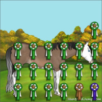 Horse Color:Brown Dun Splash 