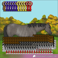 Horse Color:Grullo Rabicano 