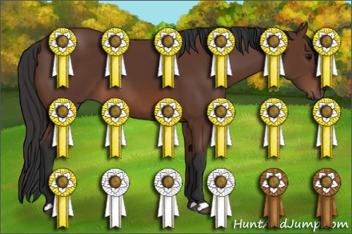 Horse Color: Bay 