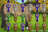 Horse Color:Buckskin Rabicano 