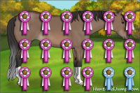 Horse Color:Brown Dun