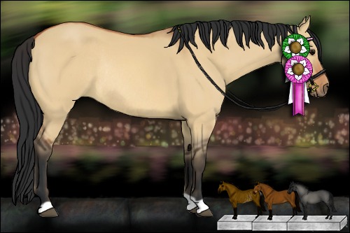Horse Color: Bay Dun Rabicano 