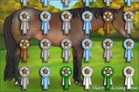 Horse Color:Brown Rabicano 