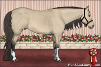 Horse Color:Buckskin Dun