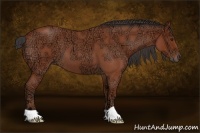 Horse Color:Bay Ice Roan 