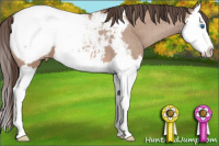 Horse Color:Amber Champagne Splash Snowcap 