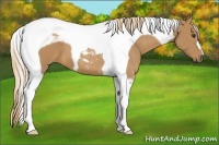 Horse Color:Chestnut Tobiano 