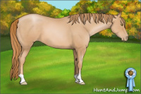 Horse Color:Chestnut Pearl 