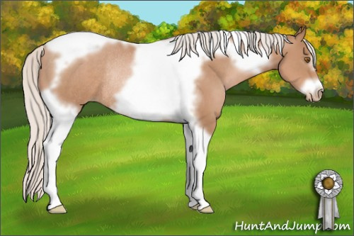 Horse Color: Silver Black Pearl Tobiano Frame Rabicano 