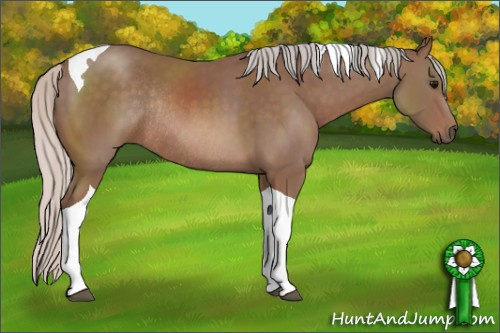 Horse Color: Silver Black Tobiano Rabicano 