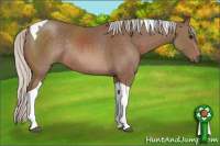 Horse Color:Silver Black Tobiano Rabicano 