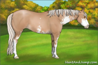 Horse Color:Silver Black Pearl Sabino