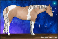 Horse Color:Silver Black Pearl Tobiano Rabicano 