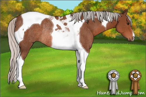 Horse Color: Silver Brown Tobiano Rabicano 