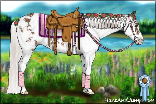Horse Color: Silver Black Sabino Rabicano 