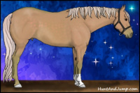 Horse Color:Watercolor Silver Buckskin Dun 