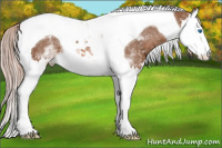 Horse Color:White Spotted Liver Chestnut Splash Tobiano Appaloosa