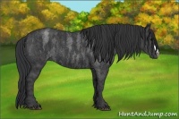 Horse Color:Blue Roan  Brindle