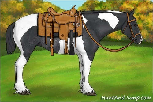 Horse Color:Black Tobiano Rabicano