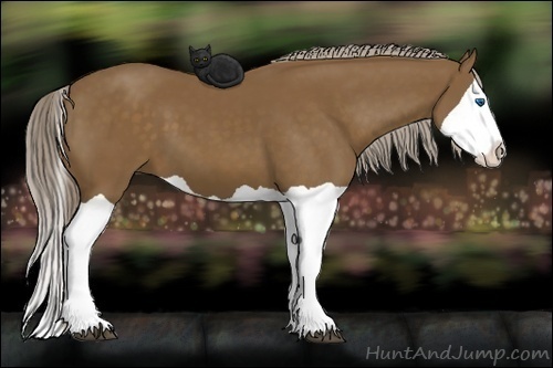 Horse Color:Chocolate Palomino Splash 