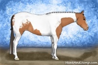 Horse Color:Bay Tobiano Snowcap 