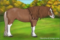 Horse Color:Red Roan Splash 