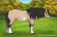 Horse Color:Bay Roan Dun Splash Frame Rabicano 