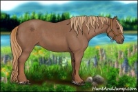 Horse Color:Red Roan Sabino