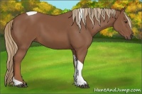 Horse Color:Chestnut Tobiano 
