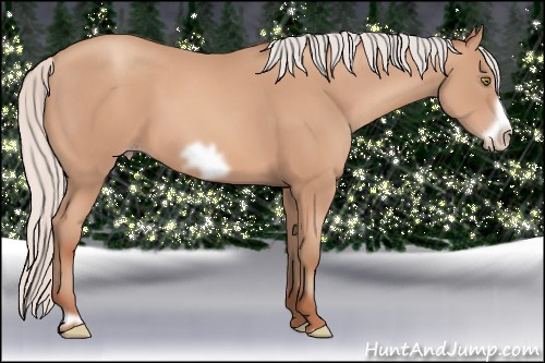 Horse Color: Silver Amber Champagne Frame 
