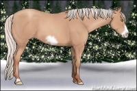 Horse Color:Silver Amber Champagne Frame 