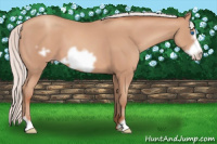 Horse Color:Silver Amber Champagne Frame 