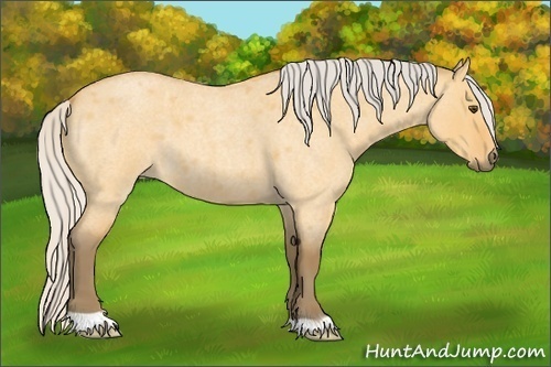 Horse Color: Silver Buckskin Roan Dun 