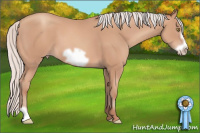 Horse Color:Silver Amber Champagne Frame 