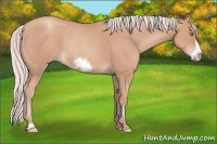 Horse Color:Silver Amber Champagne Roan Frame 