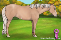 Horse Color:Silver Amber Champagne Frame