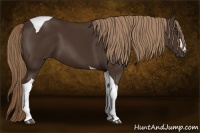 Horse Color:Liver Chestnut Tobiano 