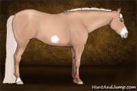 Horse Color:Silver Amber Champagne Frame 