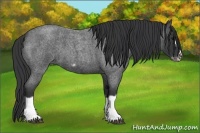 Horse Color:Blue Roan Splash Frame 