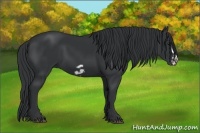 Horse Color:Black Frame 
