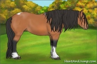 Horse Color:Bay Tobiano Frame 