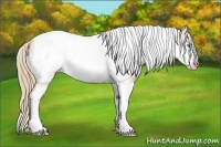 Horse Color:Smoky Creme Tobiano Frame 