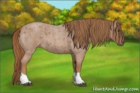 Horse Color:Red Roan Tobiano 