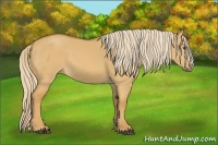 Horse Color:Palomino Dun 