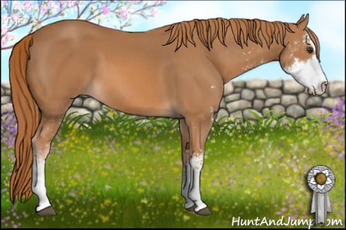 Horse Color: Chestnut Sabino 