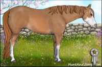 Horse Color:Chestnut Sabino