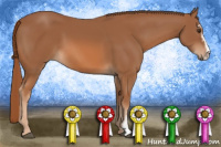 Horse Color:Chestnut Sabino