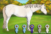 Horse Color:White Spotted Perlino Dun Sabino 