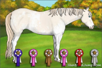 Horse Color:White Spotted Perlino Dun 